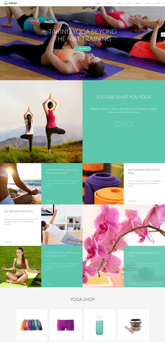 Asana-Yoga-WordPress-Theme