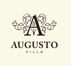 Augusto Villa Showcase of Creative Symmetrical Logos