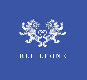 Blu Leone Showcase of Creative Symmetrical Logos