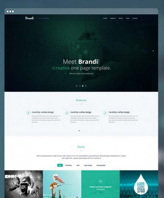 Brandi-Creative-One-Page-Multi-Purpose-PSD-Template