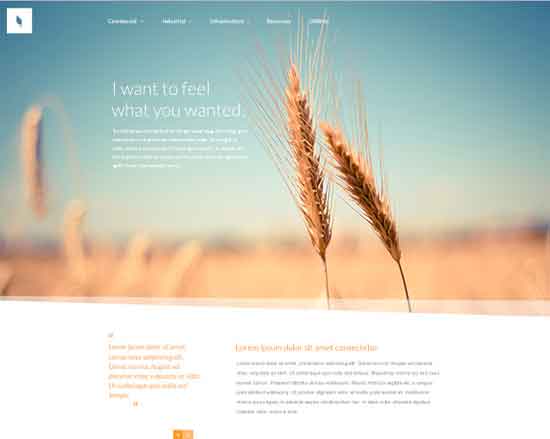 Organic - Free Website PSD Template