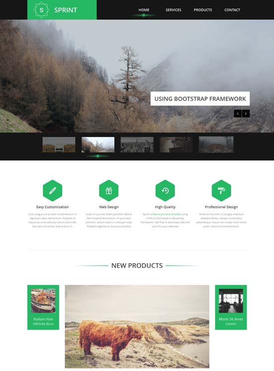 Sprint-Free-Responsive-Single-Page-Template