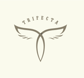 Trifecta Showcase of Creative Symmetrical Logos