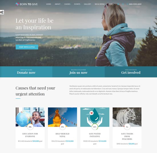 born charity responsive WordPress theme 