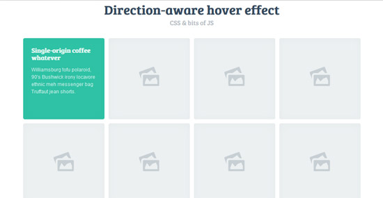 css hover effects image