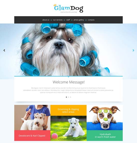 50 Best Animal Pet Website Templates Free & Premium freshDesignweb