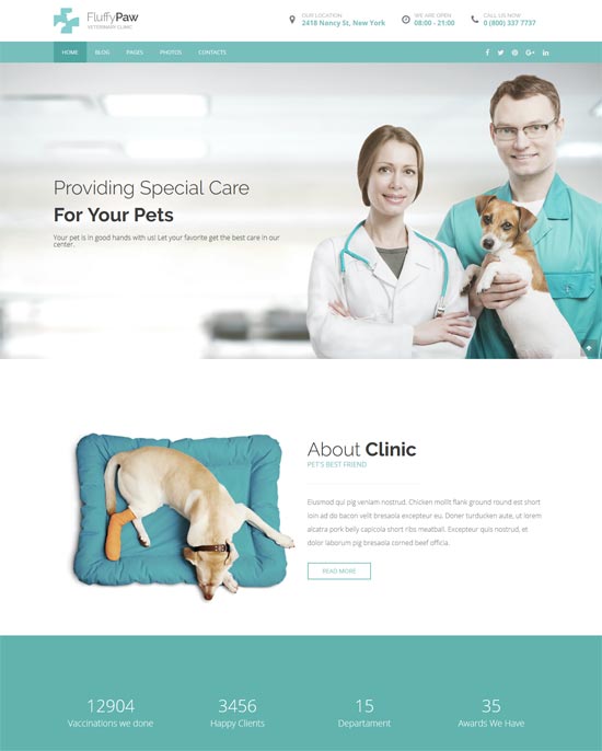 fluffypaw veterinary clinic wordpress theme