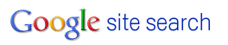 google web developer tools