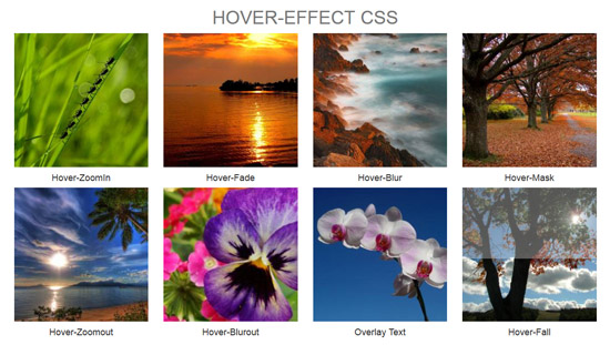 css hover effects wc3