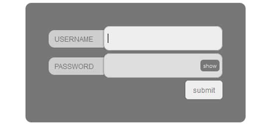 jQuery Show Password Plugin