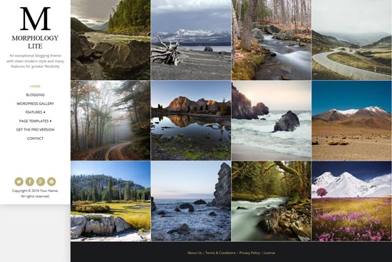 morphology lite free WordPress theme photography