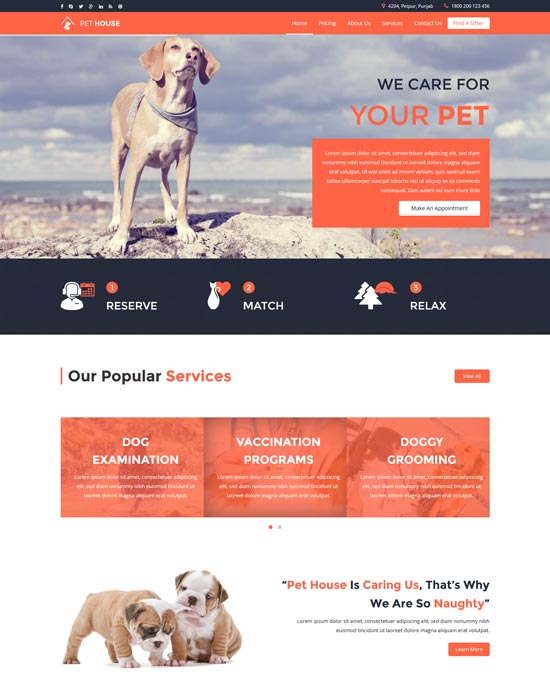 50 Best Animal Pet Website Templates Free & Premium freshDesignweb