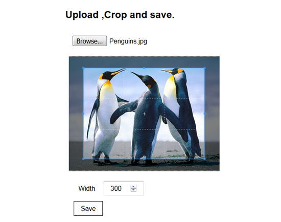 Upload crop & save 