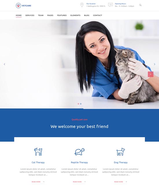vetcare medical petcare WordPress theme 