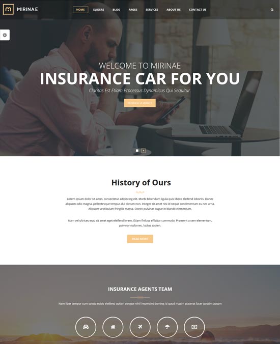 vg mirinae insurance agency WordPress theme 